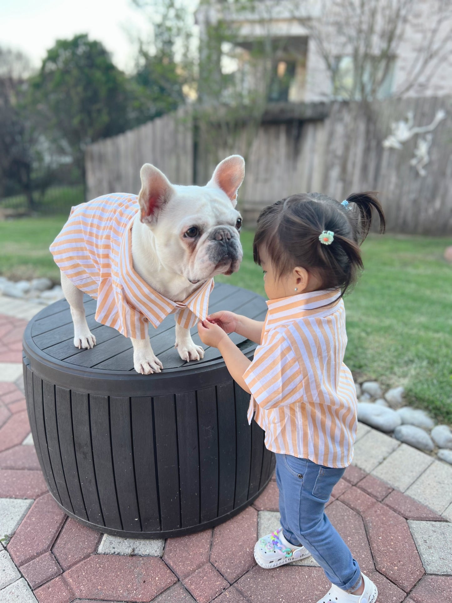 Classic Striped Owner and Pet Matching Button Shirt / Bandana