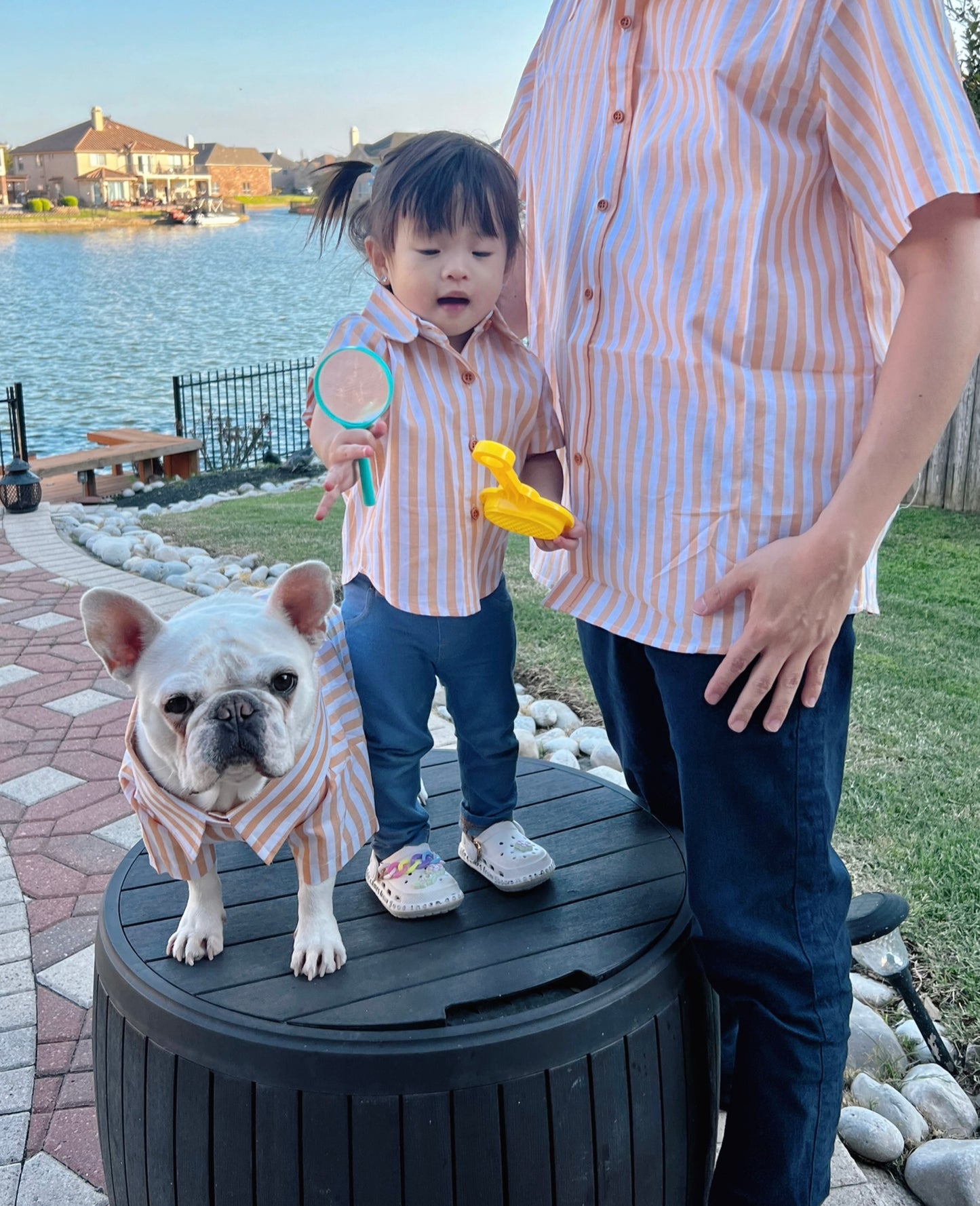 Classic Striped Owner and Pet Matching Button Shirt / Bandana