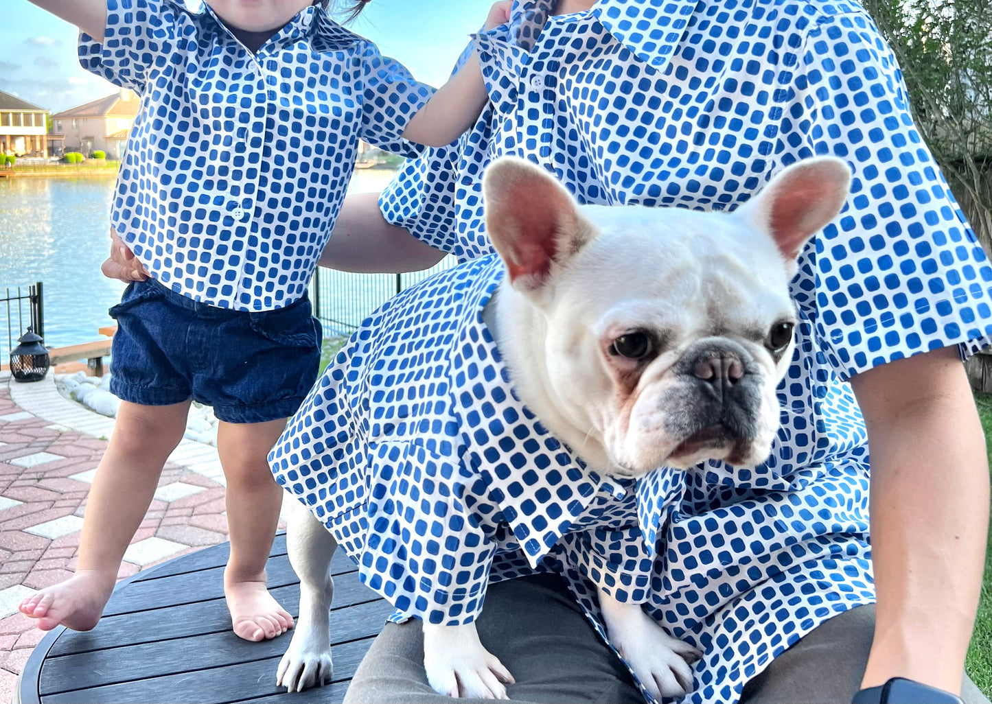 Blue Dot Print Owner and Pet Matching Button Shirt / Bandana