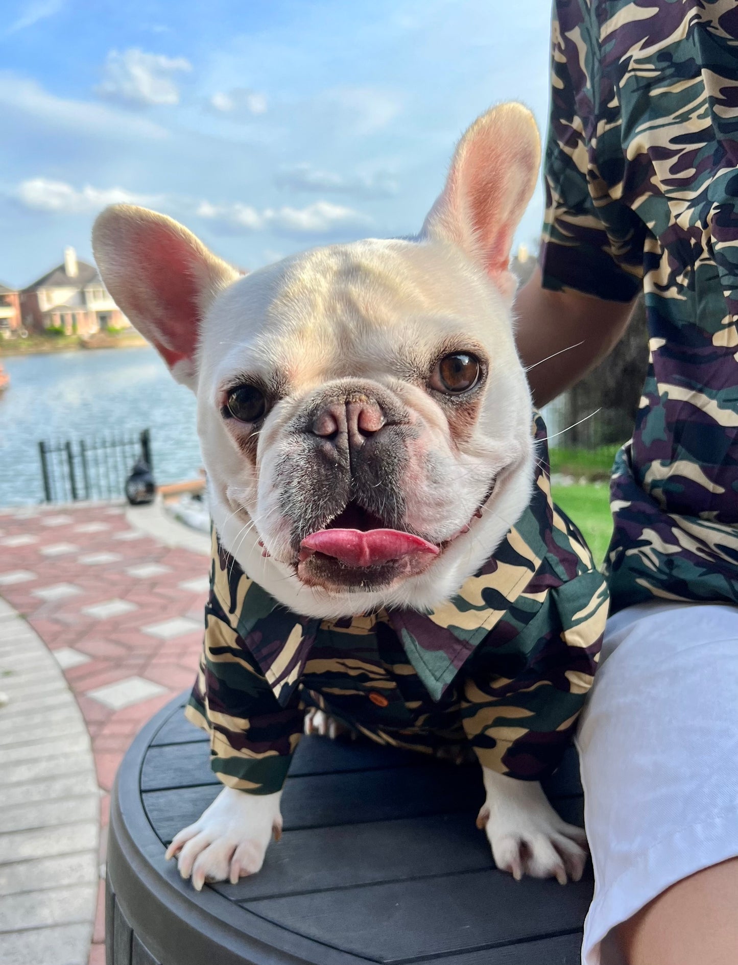 Camouflage Green Owner and Pet Matching Button Shirt / Bandana