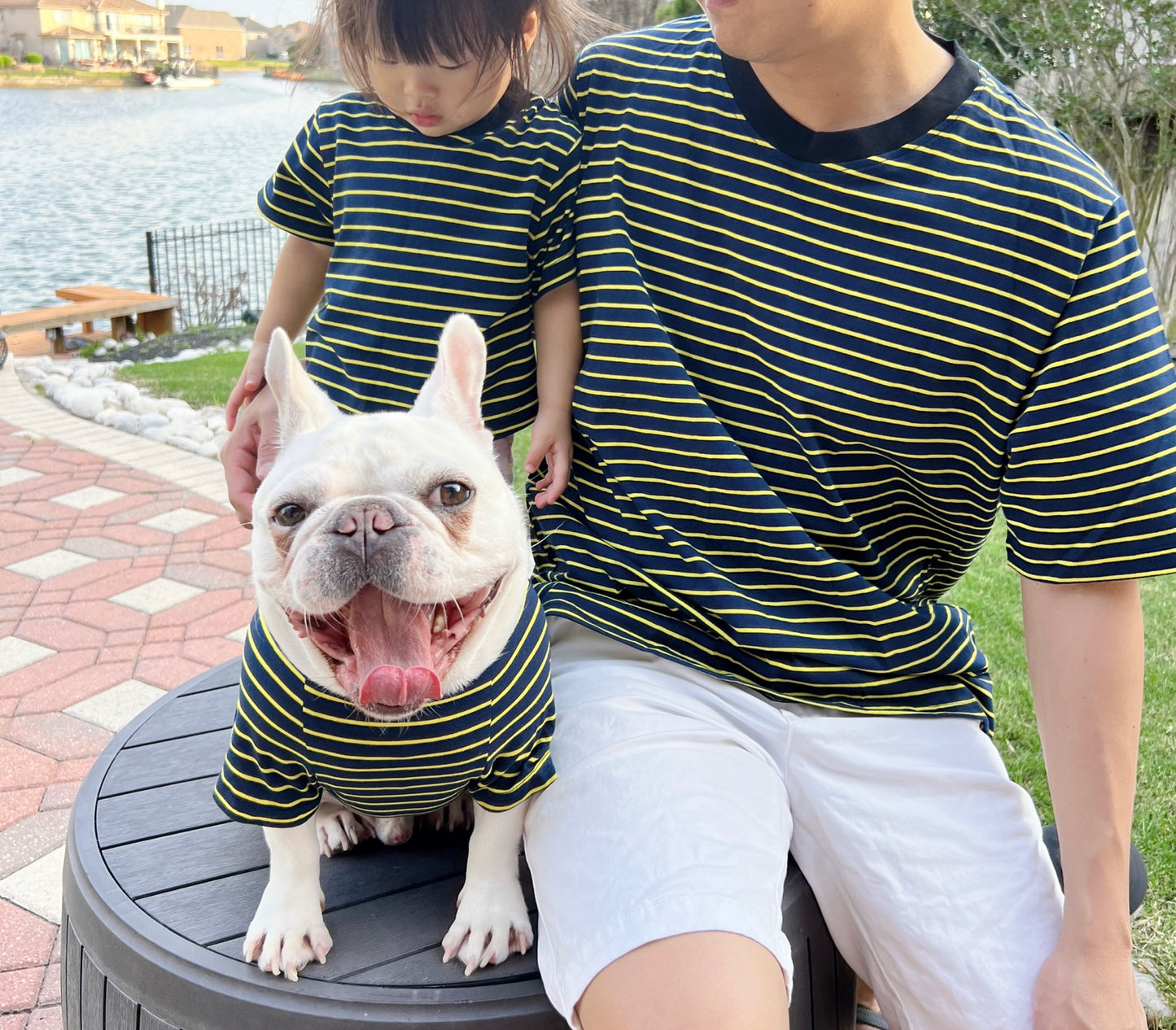 Black Yellow Striped Owner and Pet Matching Set