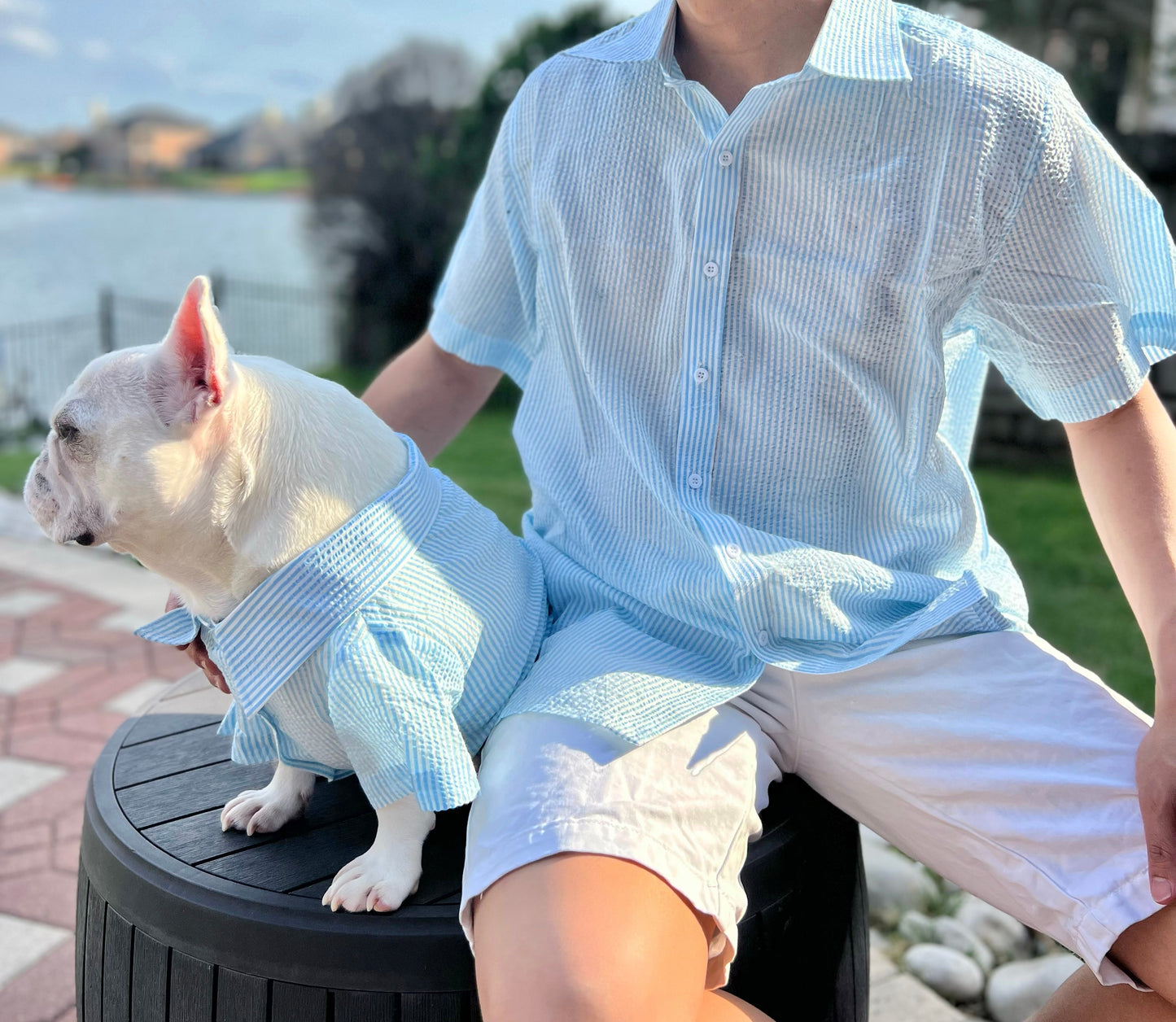 Striped Seersucker Owner and Pet Matching Button Shirt / Bandana