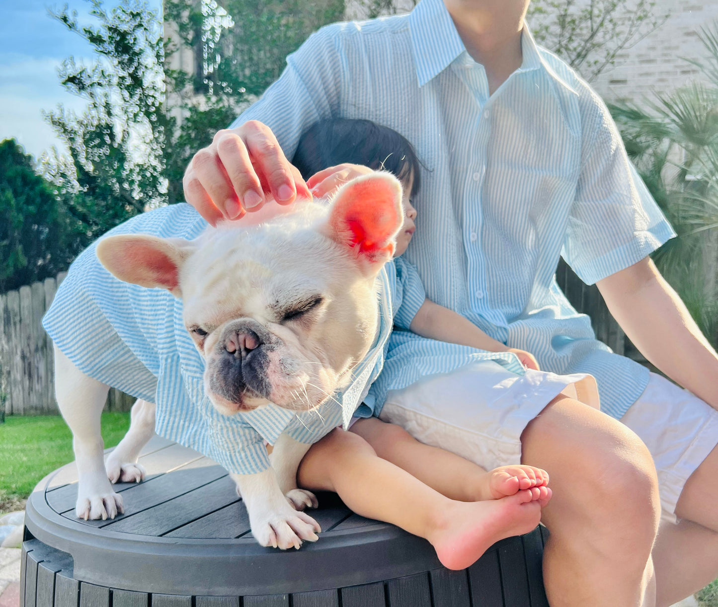 Striped Seersucker Owner and Pet Matching Button Shirt / Bandana