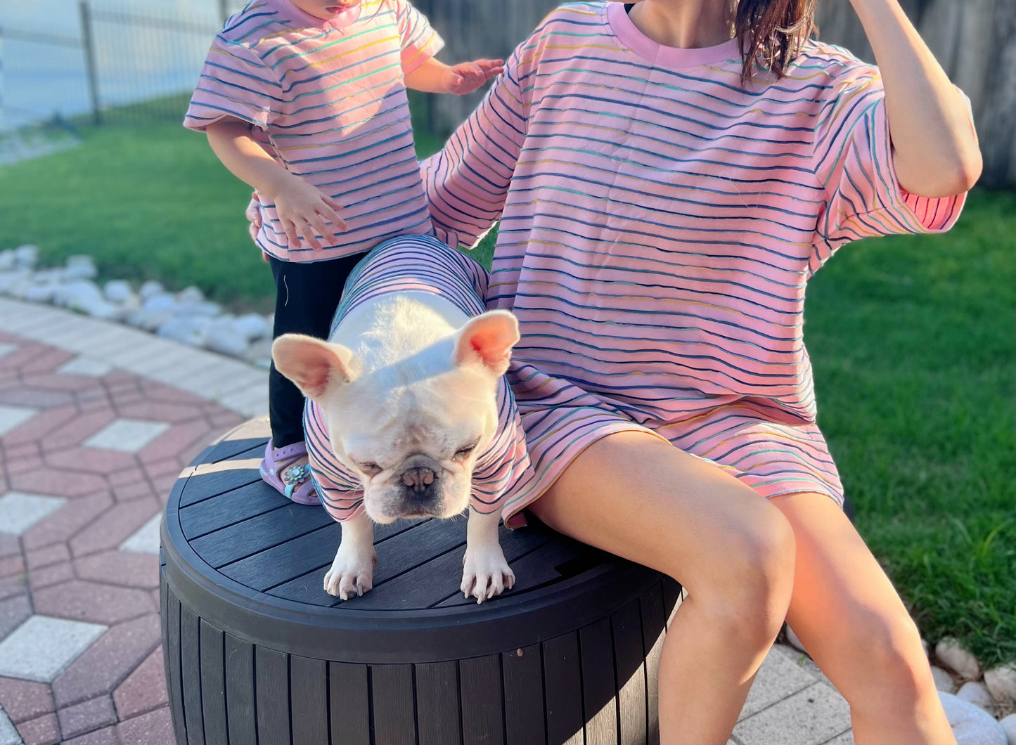 Pink and 3D Striped Owner and Pet Matching Set