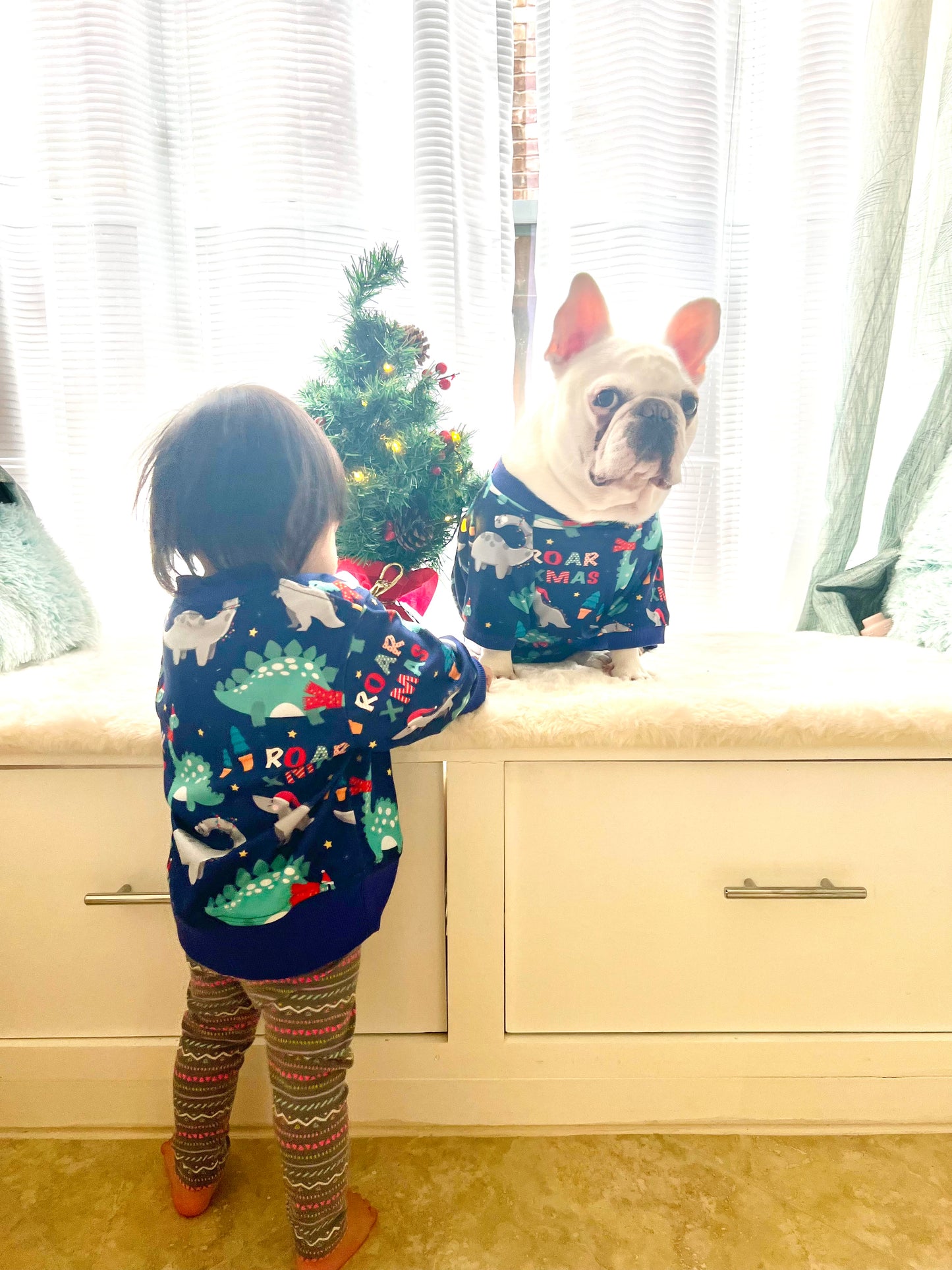 Dinosaur Roar Christmas Owner and Pet Family Matching Sweater