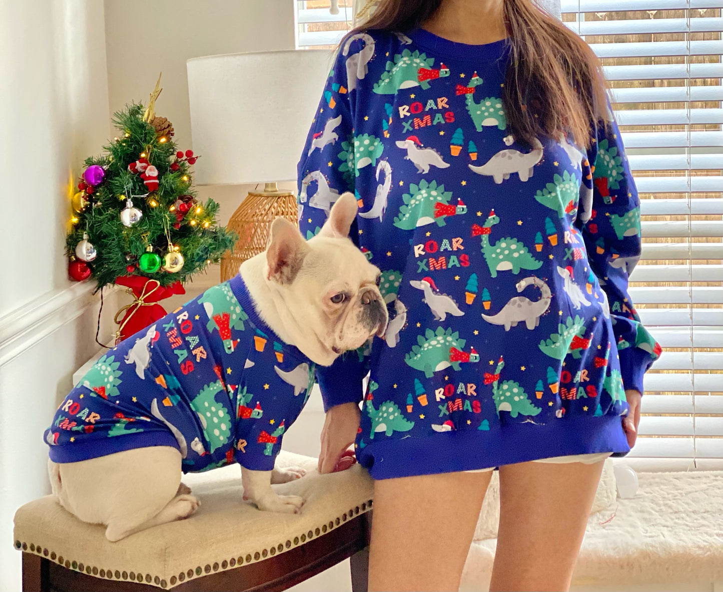 Dinosaur Roar Christmas Owner and Pet Family Matching Sweater