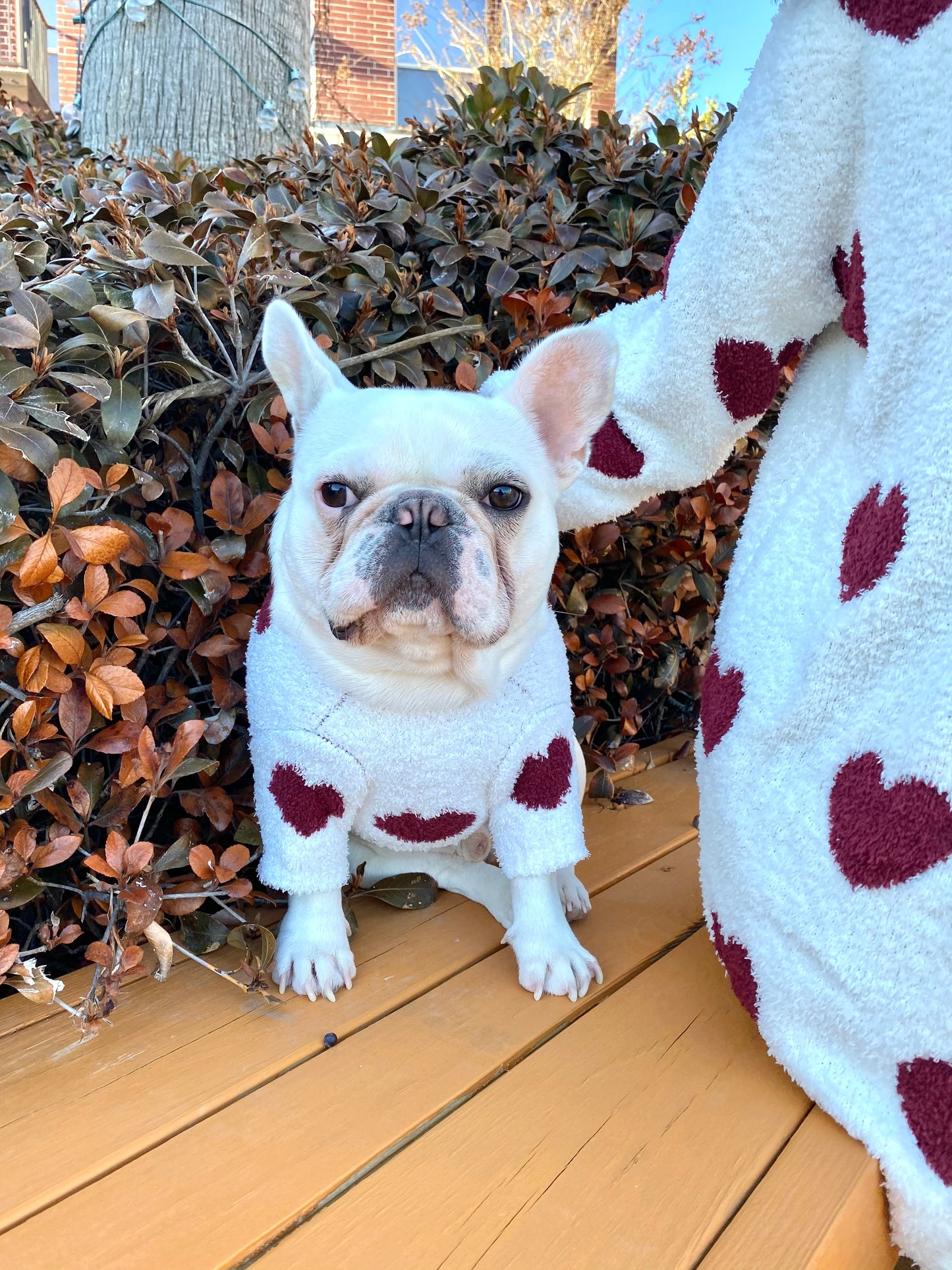 My Lover Owner Cardigan and Pet Sweater Matching Set