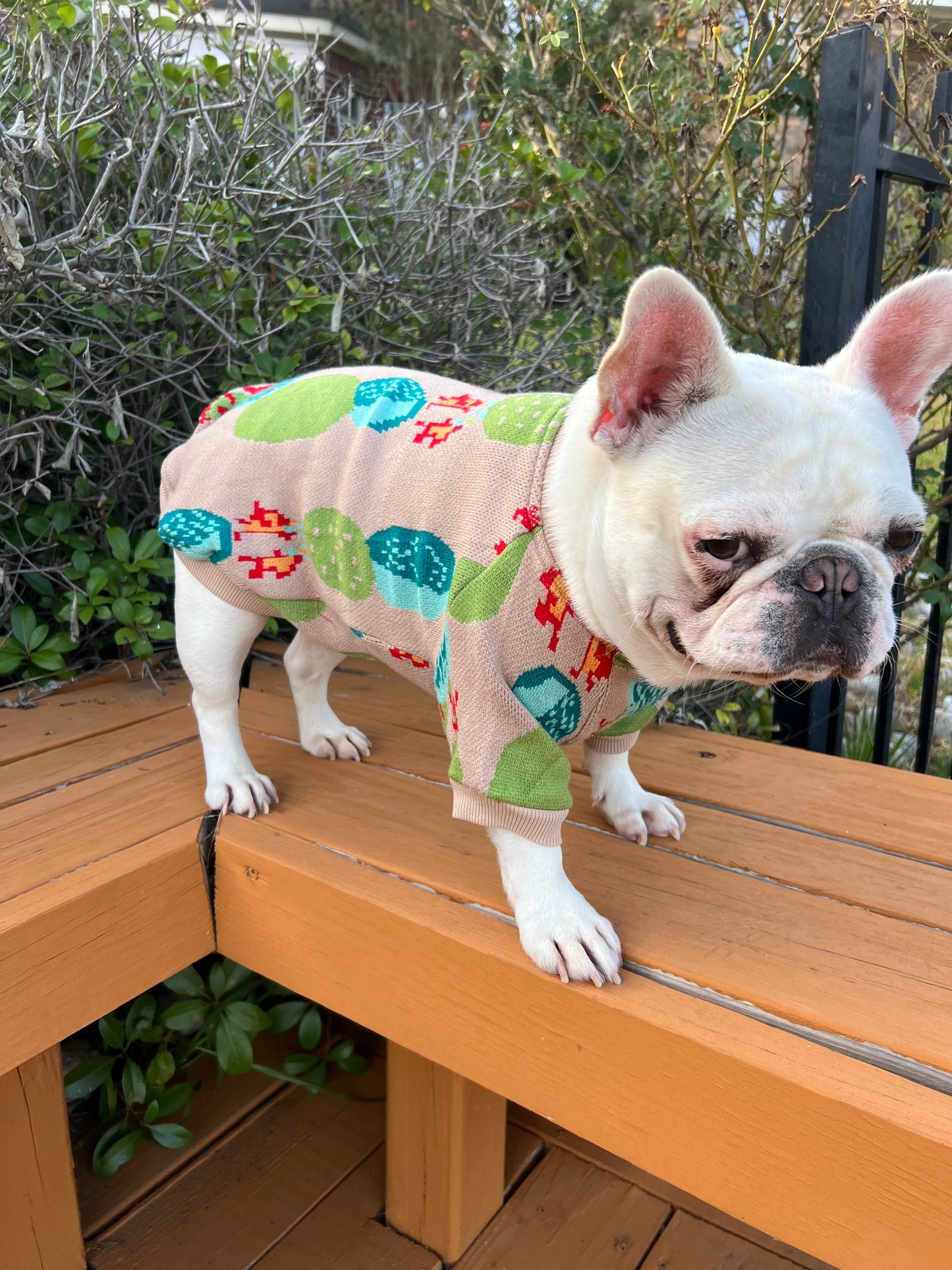 Cactus Succulent Boho Owner Cardigan and Pet Sweater Matching Set