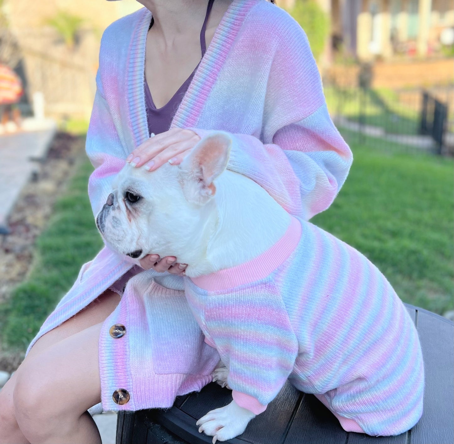 Ombre Hue Owner Cardigan and Pet Sweater Matching Set