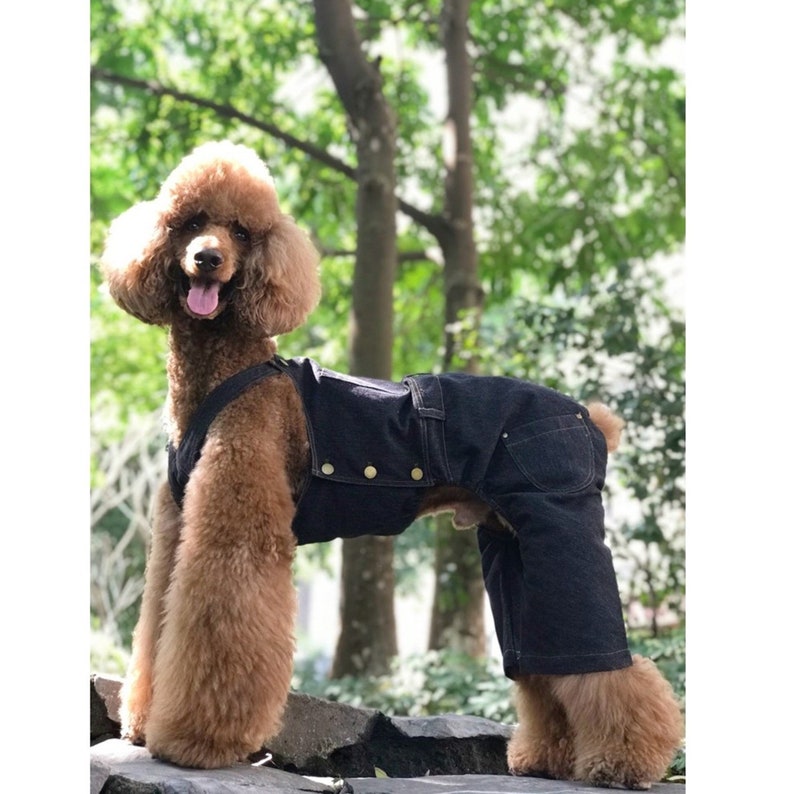 Denim Painter Bib Overall Dungarees Jean for Big Dog