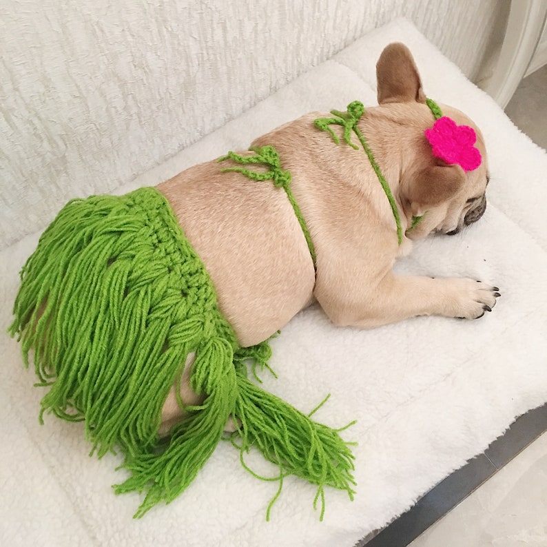 Dog Cat Pet Aloha Hawaii Bikini Beach Summer Vibe Luau Theme Party Hula  Skirt Coconut Bra Costume 