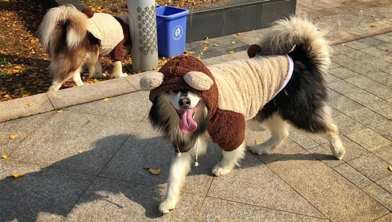 Teddy Bear Costume Hoodie for Big Dog