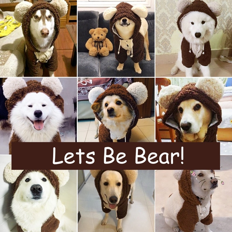 Large dog outlet teddy bear costume