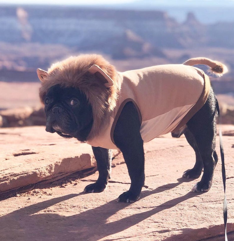 The Lion King Hoodie Hoodie