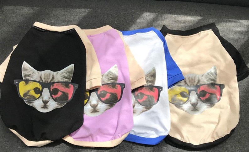 Cat Swag Face Print Owner and Pet Matching Set