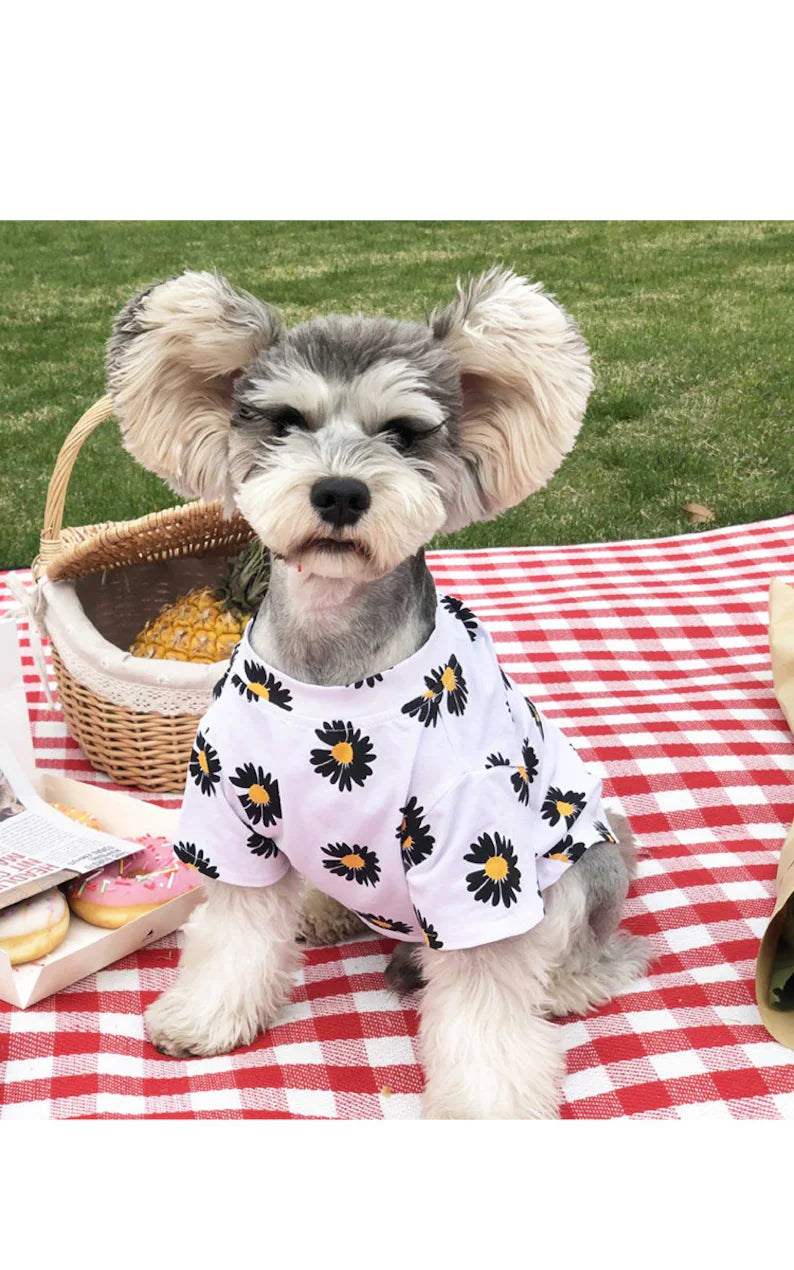 White Daisy Dandelion Sunflower Owner and Pet Matching Set