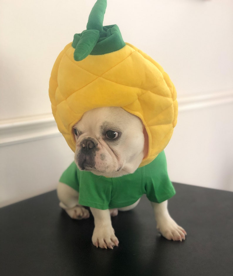 Big Pineapple Costume