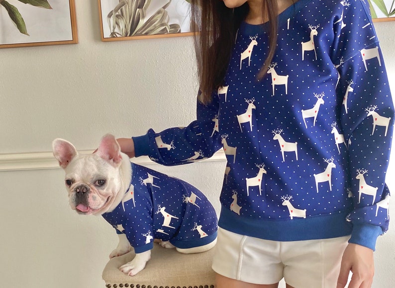 Blue Reindeer Owner and Pet Matching Set