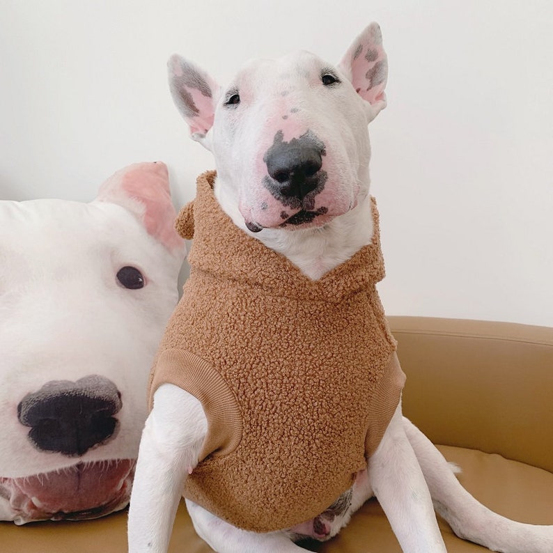 Teddy Bear 3D Ear Hoodie for Big Dog