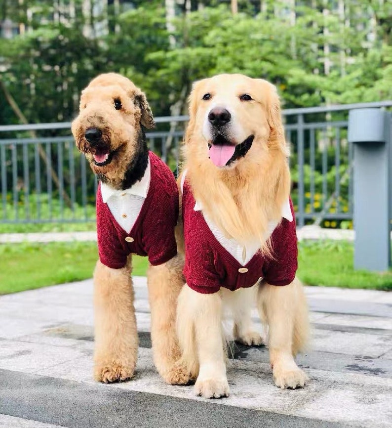 Classic College Student Inspired Big Dog Sweater