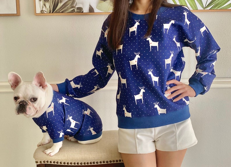 Blue Reindeer Owner and Pet Matching Set