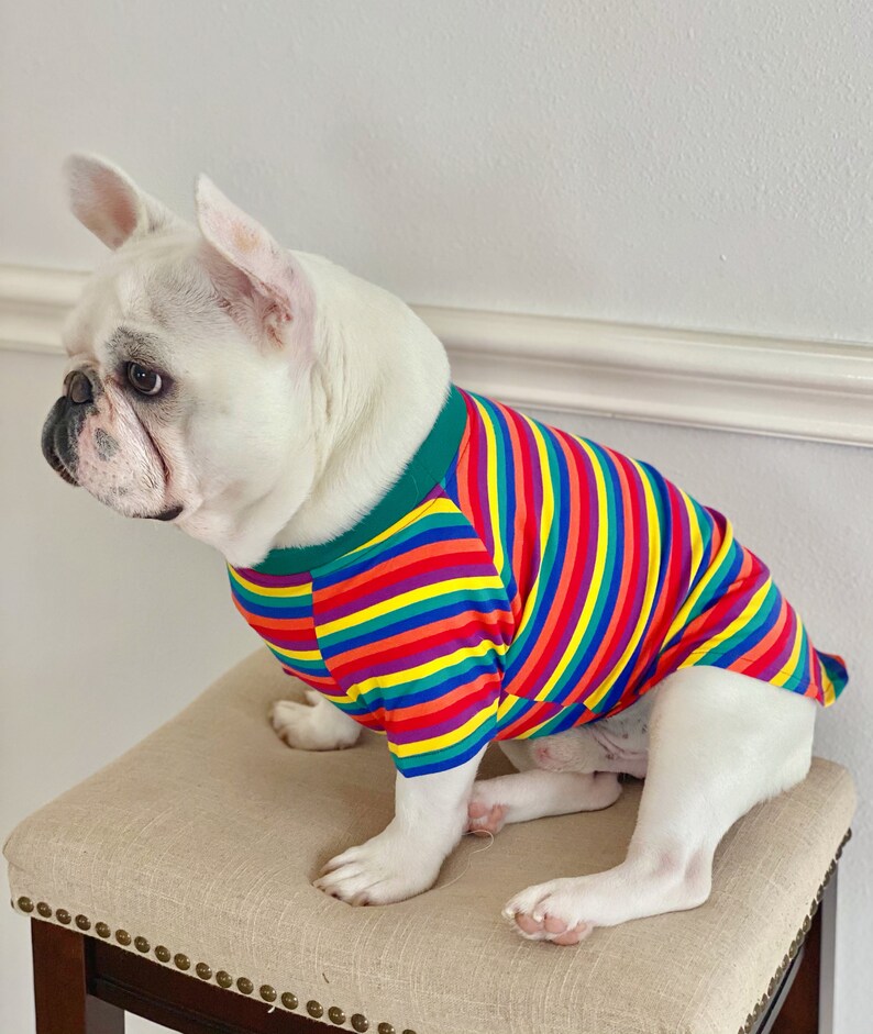 Rainbow Striped Owner and Pet Matching Set