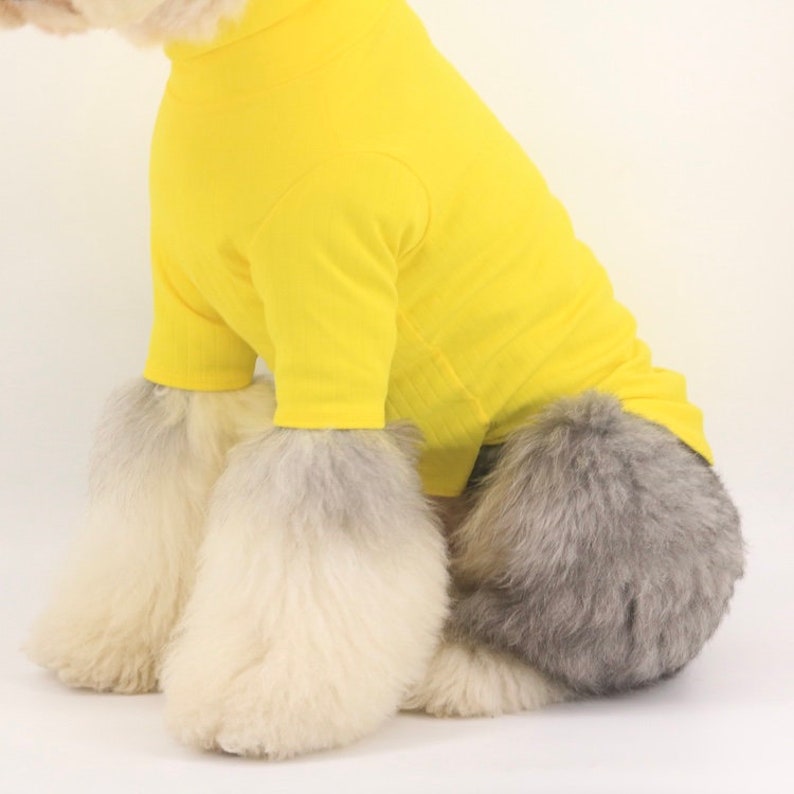 Yellow High Turtle Neck Hipster Long Sleeve Shirt for Big Dog