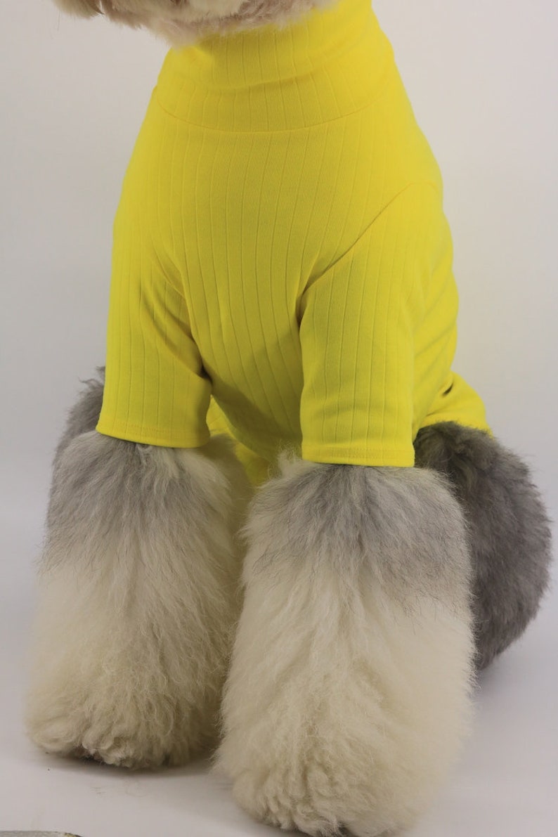 Yellow High Turtle Neck Hipster Long Sleeve Shirt for Big Dog