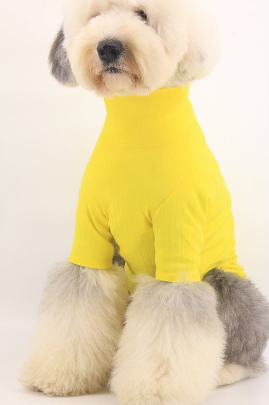 Yellow High Turtle Neck Hipster Long Sleeve Shirt for Big Dog