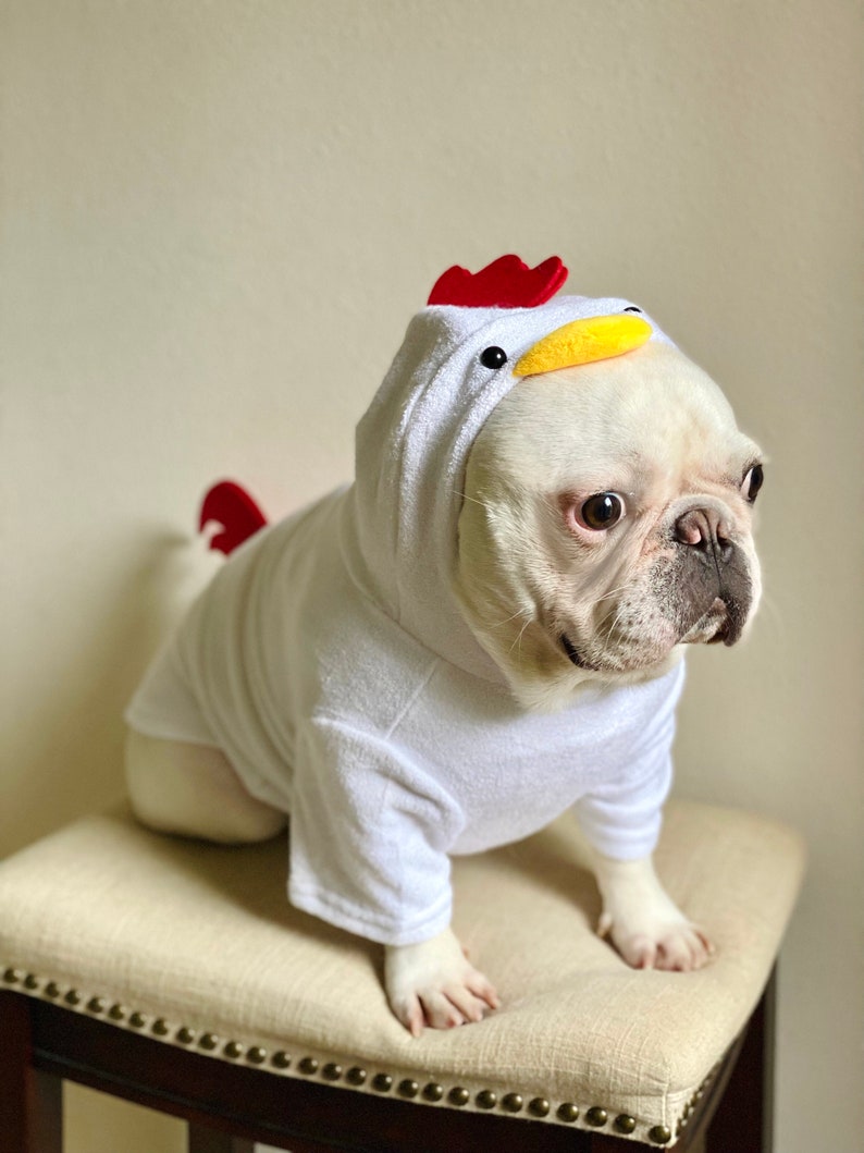 Rooster Chicken Hen 3D Tail and Comb Hoodie