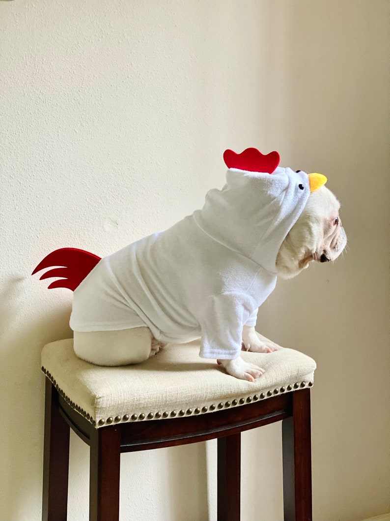 Rooster Chicken Hen 3D Tail and Comb Hoodie