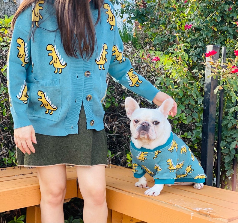 Dinosaurs Owner Cardigan and Pet Sweater Matching Set