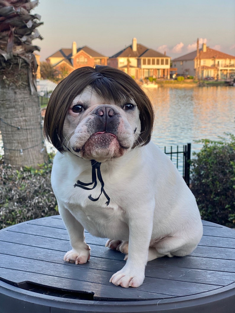 Wig Fake Hair Bangs Funny Costume