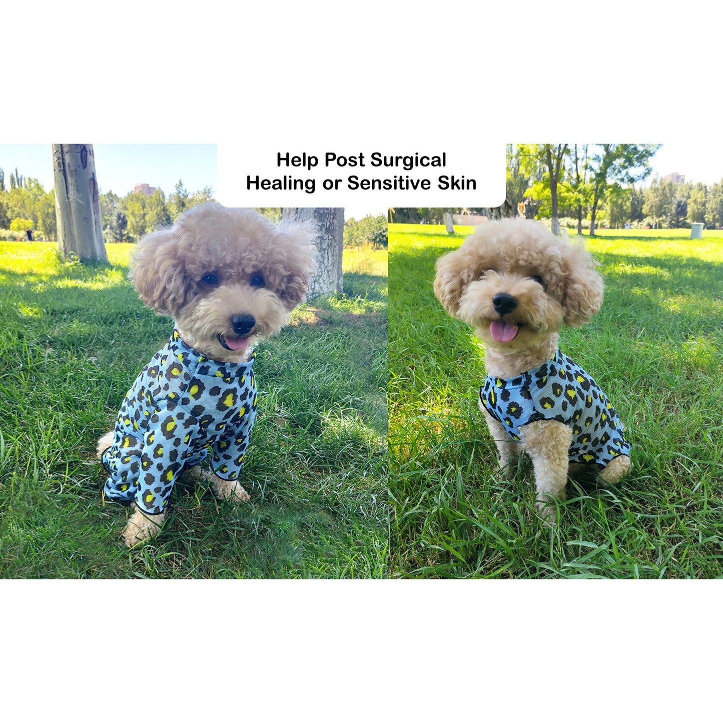 Dog and Cat with Sensitive Skin Sunblock Mesh Jumpsuit